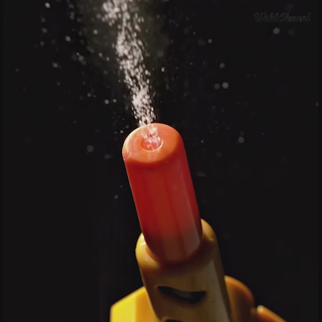 Shoot House Flies with regular table salt